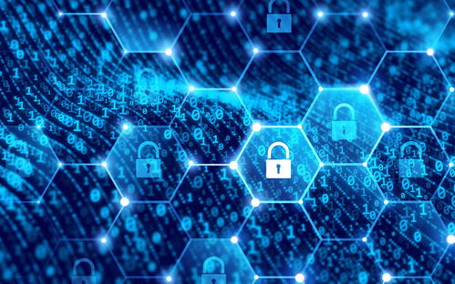 当破产程序遇上执行异议 互联网科技开发与技术服务企业的法律应对策略